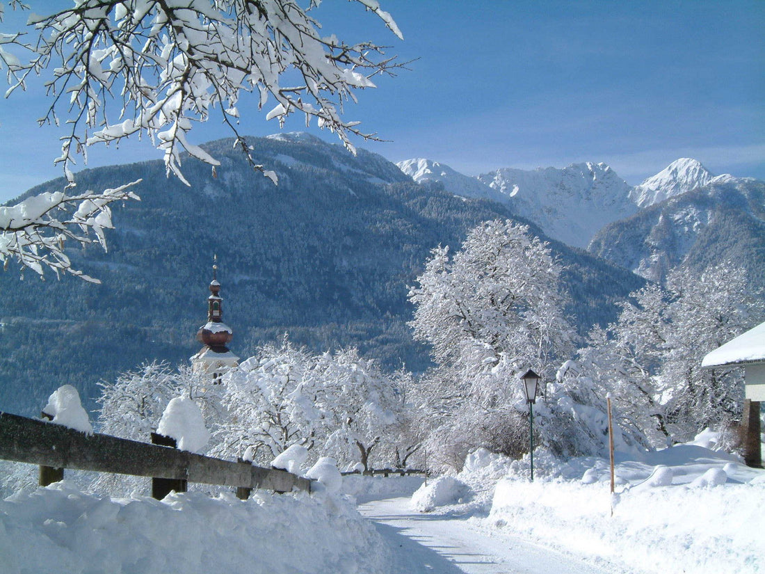 Winterruhe im Gailtal – Warum unsere Bienen jetzt besonders stabile Rahmenbedingungen brauchen